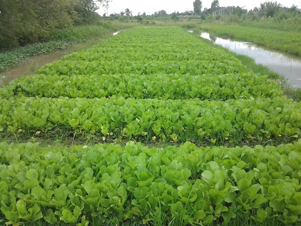 Green Village 1 Cần Thơ Exterior foto