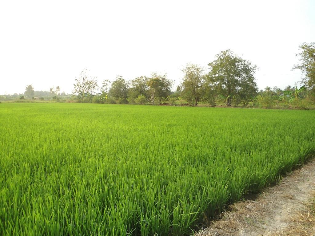 Green Village 1 Cần Thơ Exterior foto